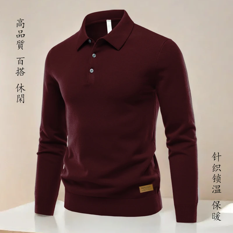 2025秋冬男士长袖毛衣时尚通勤上衣保暖轻商务polo衫高质量针织衫