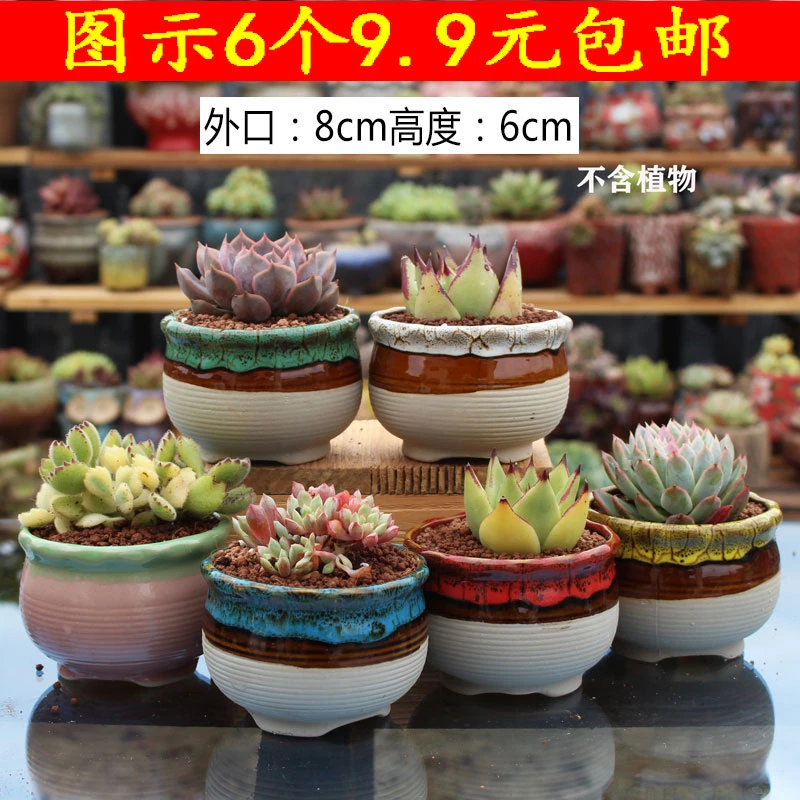 包邮窑变多肉麦饭石花盆复古大口陶瓷套餐紫砂吸水拇指老桩印章拼