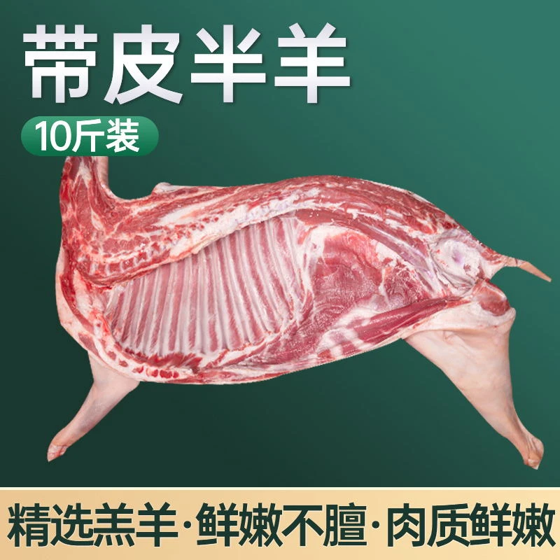 【带皮】散养乳羔羊半羊10斤带皮羊腿羊排分割切块发货炖煮1