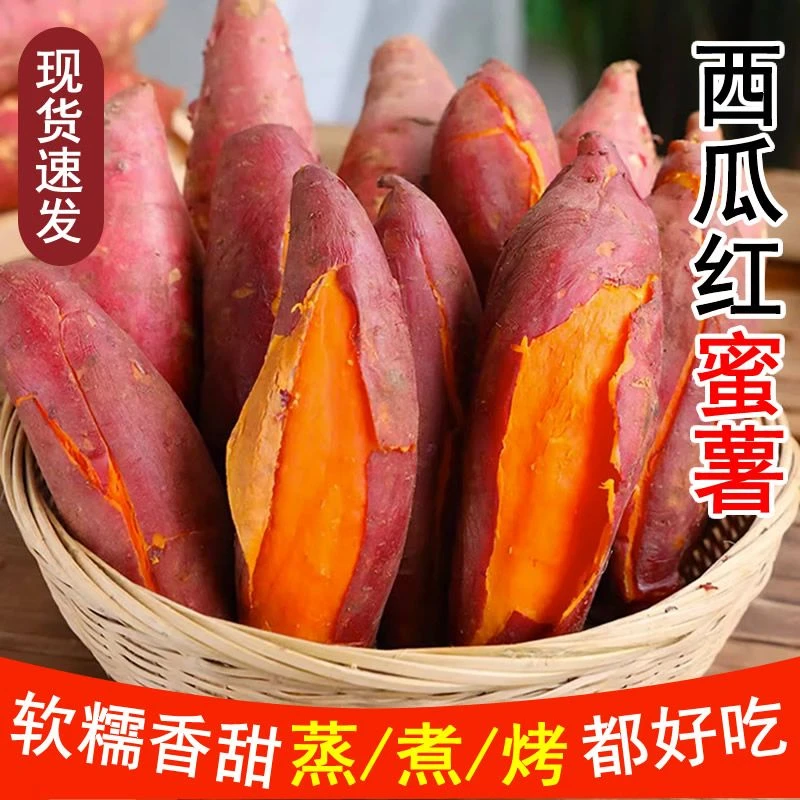 【嘉昊】西瓜红蜜薯沙地新鲜地瓜现挖红心红薯蜜薯糖心红芋香甜烤
