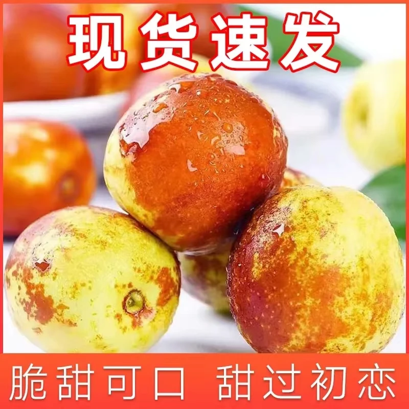 【嘉昊】现货山东沾化冬枣当季新鲜水果包邮脆枣孕妇枣子特级大