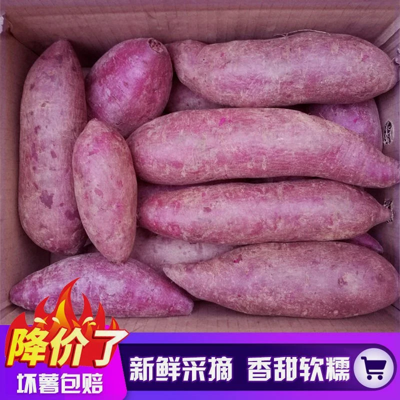 【嘉昊】【香甜紫薯】沙地紫薯新鲜紫罗兰红薯蜜薯紫地瓜蔬菜批发