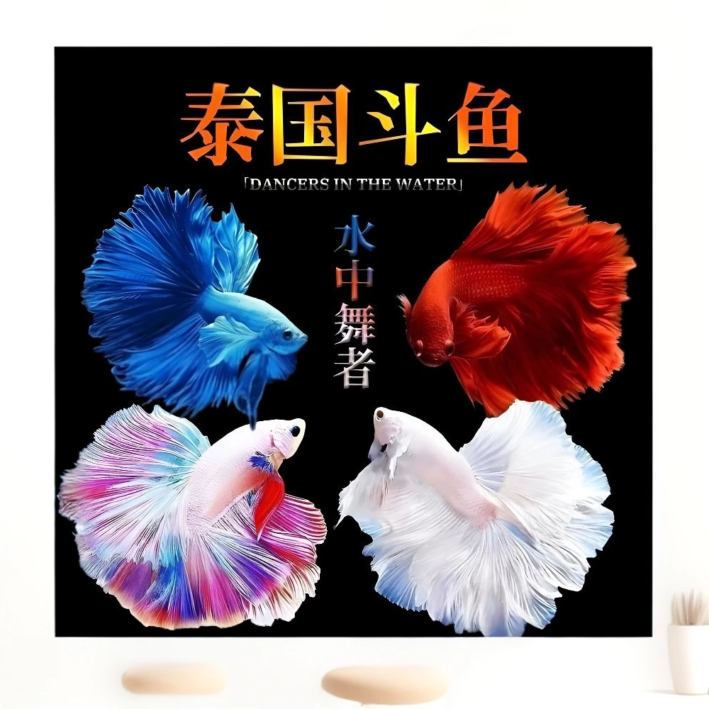 精品斗鱼（301~325）