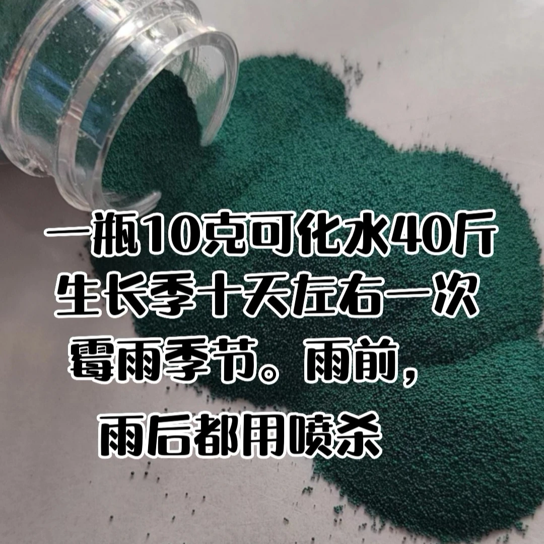 福豆豆豆盆栽绿植专用杀菌粉