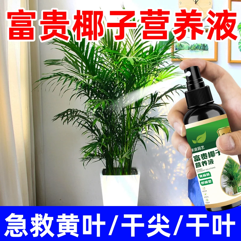 富贵椰子专用营养液治黄叶干尖枯叶促生长家用免稀释通用型液体肥