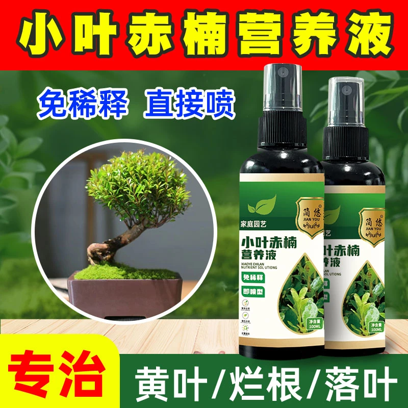 小叶赤楠营养液通用型小叶赤楠专用营养液花肥绿植水培植物肥料