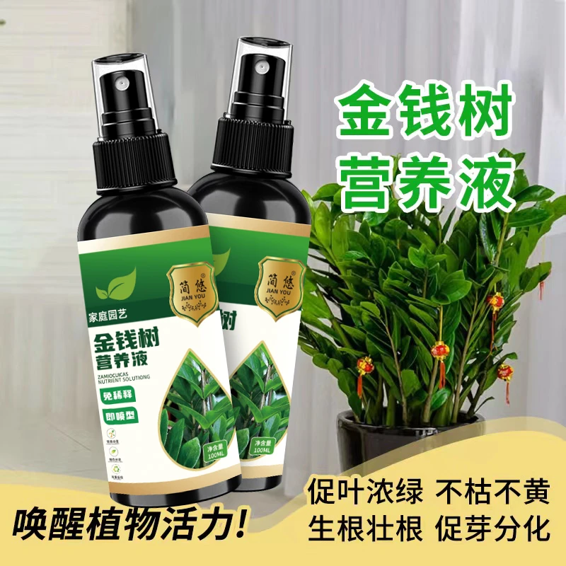 金钱树【专用】营养液催芽防黄叶烂根液体肥免稀释高效专用肥