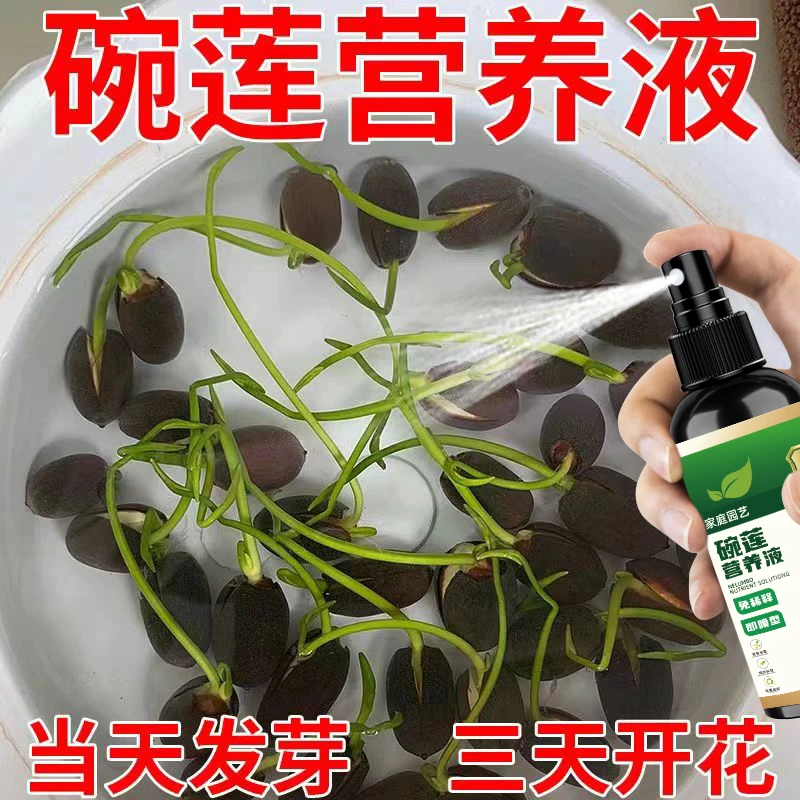 碗莲营养液专用水溶肥水培土培睡莲通用肥料治生长慢不发芽不开花