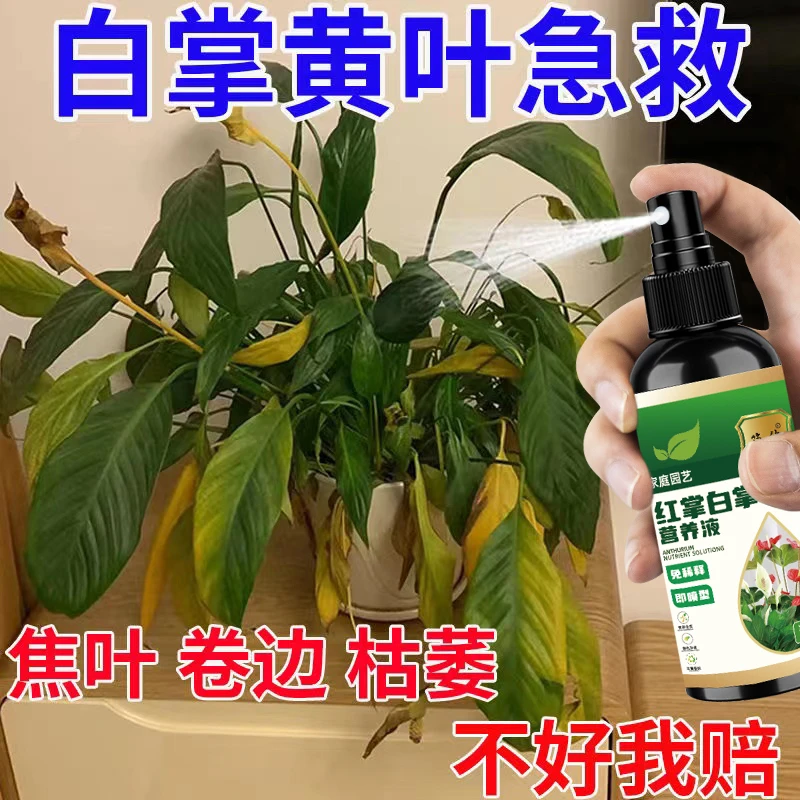一帆风顺营养液白掌专用治黄叶枯萎不开花促生长开花免稀释家用肥