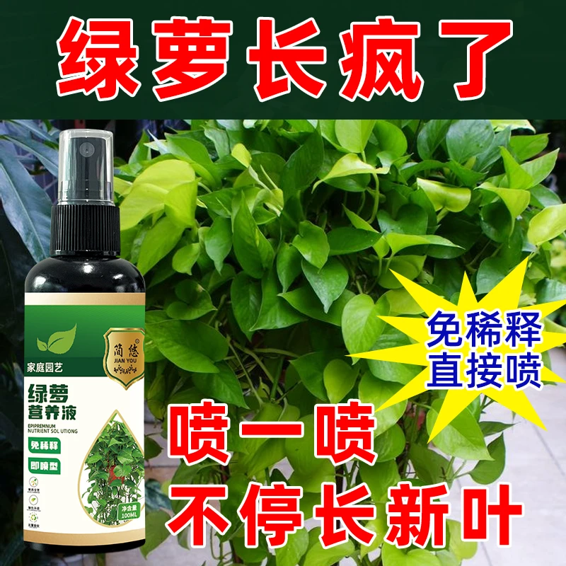 【拯救黄叶】绿萝栀子花营养液专用水培生长促芽促根盆栽绿植通用