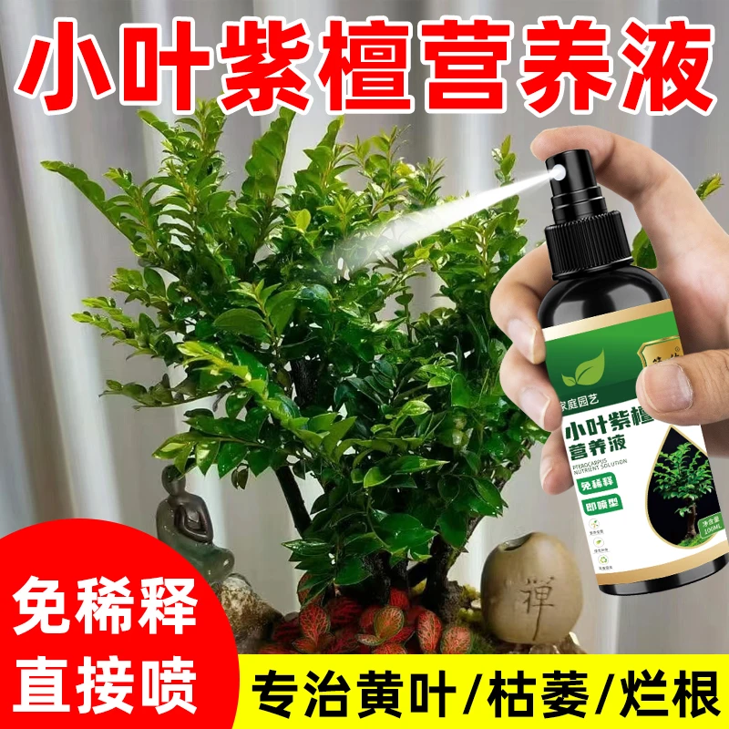 小叶紫檀赤楠盆景肥料专用肥黑骨茶紫檀青檀营养液黄叶掉叶免稀释