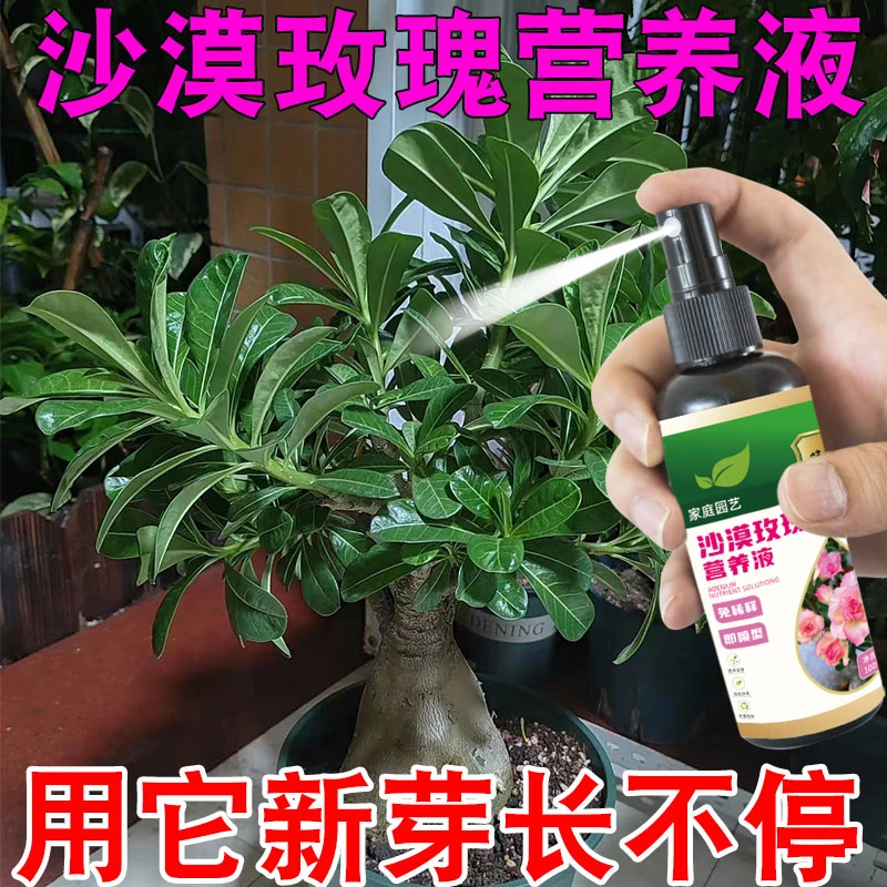 沙漠玫瑰营养液率液催花花爆盆急救黄叶掉叶不开花沙漠玫瑰专用肥