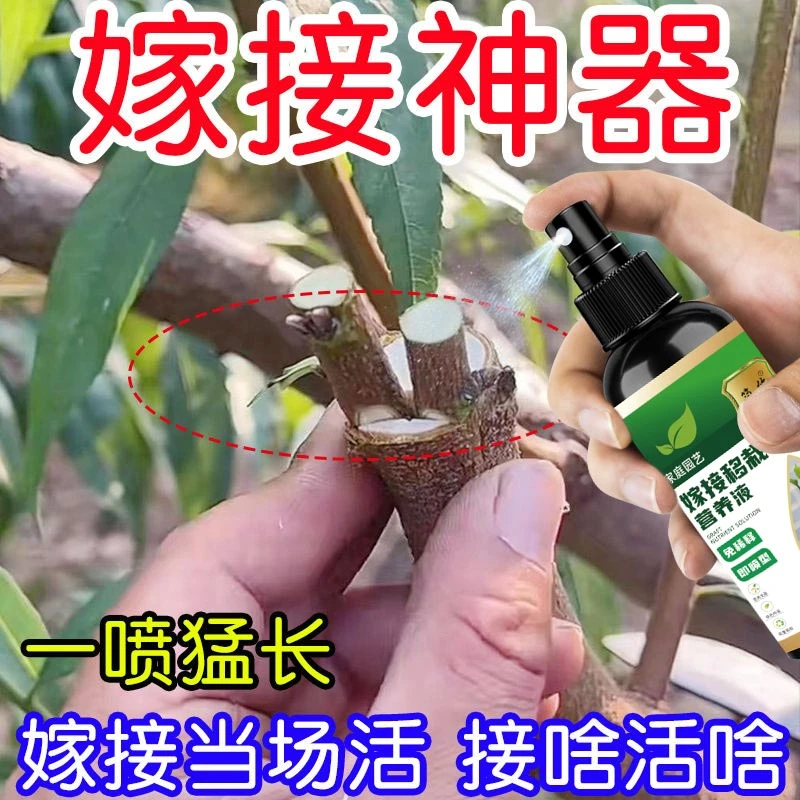 【万能型植物嫁接神器】嫁接促活液伤口愈合剂盆景植物愈合剂移栽