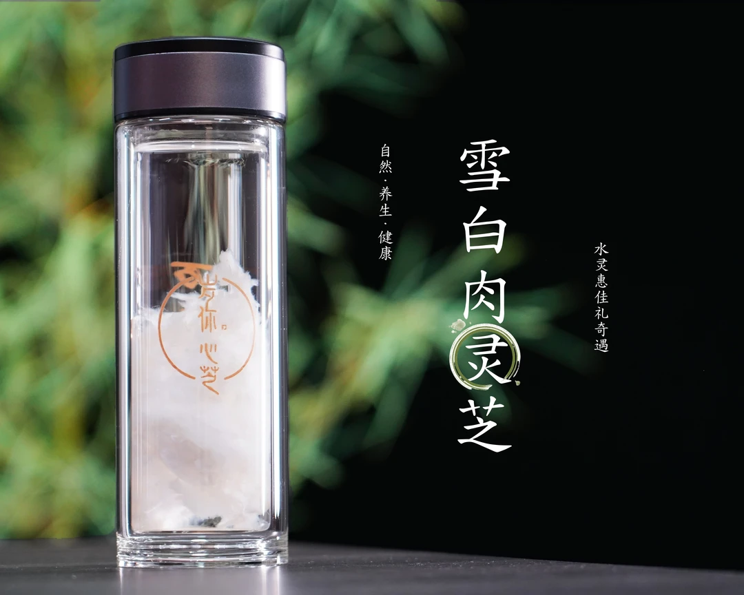 鱼胶《雪白肉肉灵芝礼盒》40克营养物质丰富适用人群广泛