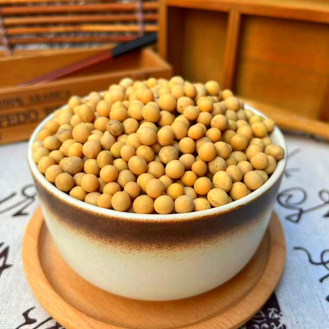 黄豆新东北大豆农家自种土黄豆打榨豆浆专用五谷杂粮粗粮家用