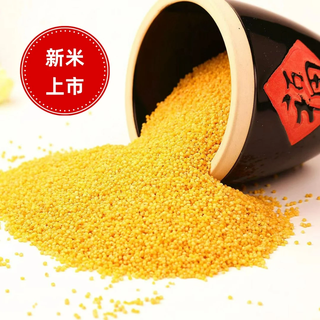【佳林专属】东北农家弱碱黄小米月子米5斤装