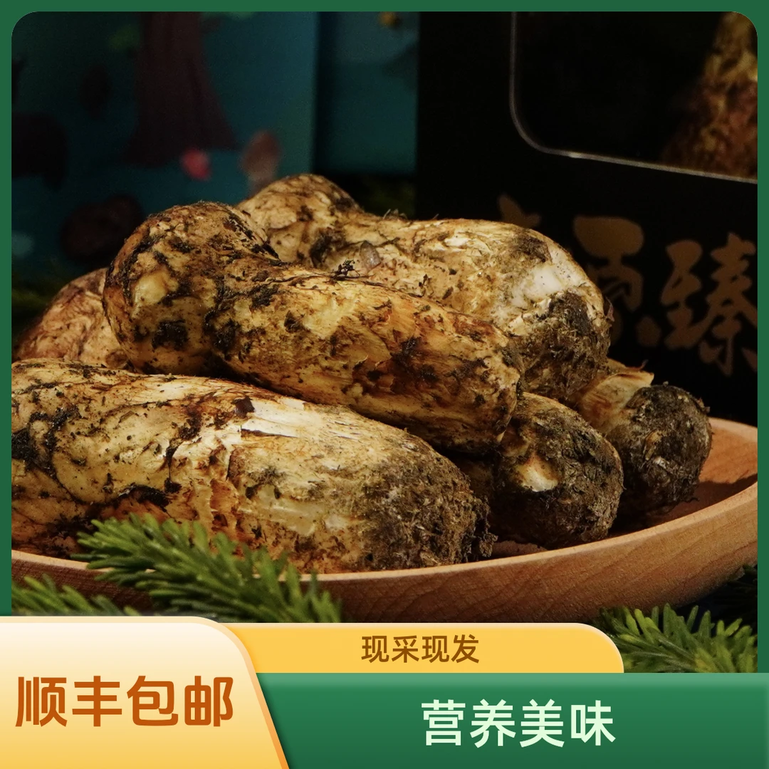 2025年头茬鲜松茸，营养美味，煲汤炒菜，现采现发顺丰包邮