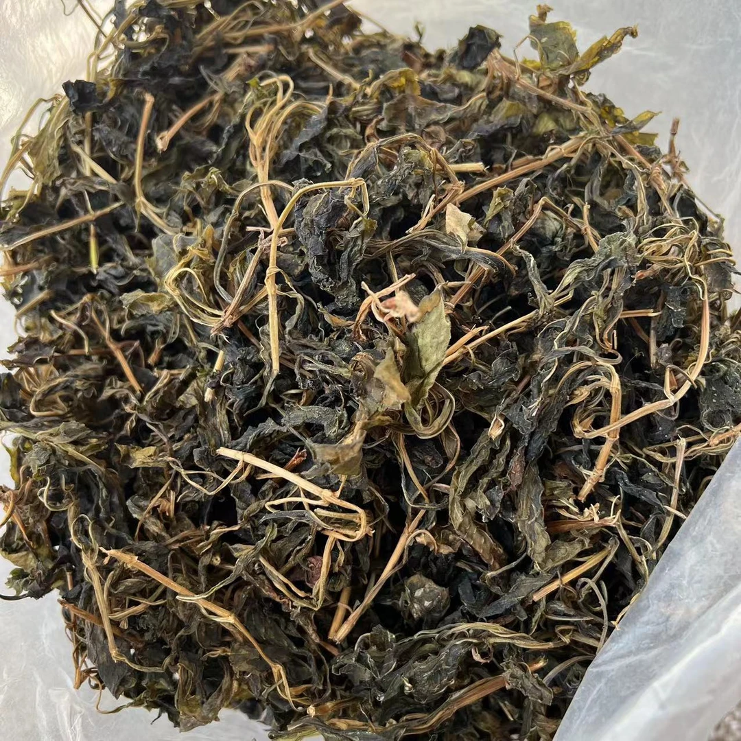 【阳山特产】苦斋婆菜 阳山本地特产 250g