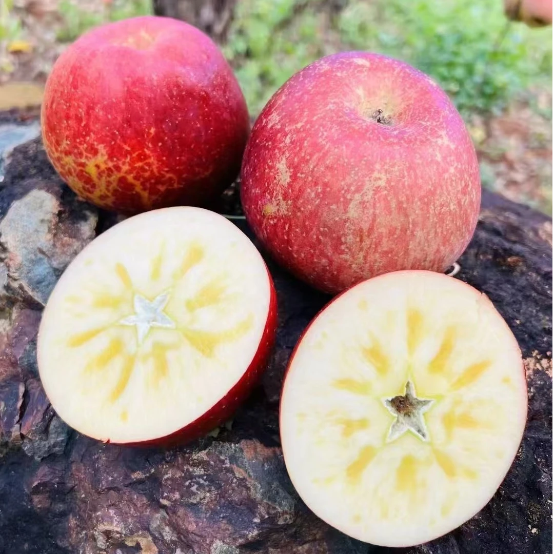 大凉山盐源丑苹果 脆甜多汁 皮薄肉厚
