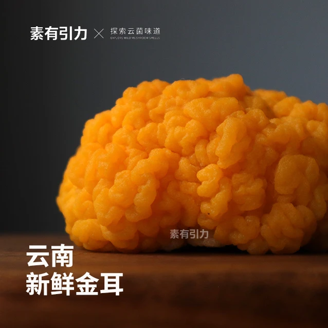 素有引力云南新鲜金耳软糯Q弹刺身级别500g 鲜金耳纯素食斋菜顺丰