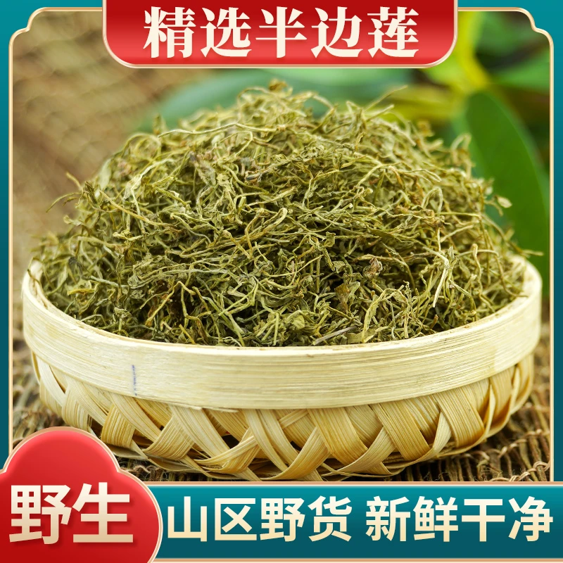 正宗半边莲根茎野生半边莲食材无硫熏新货半边莲250g-500g包邮