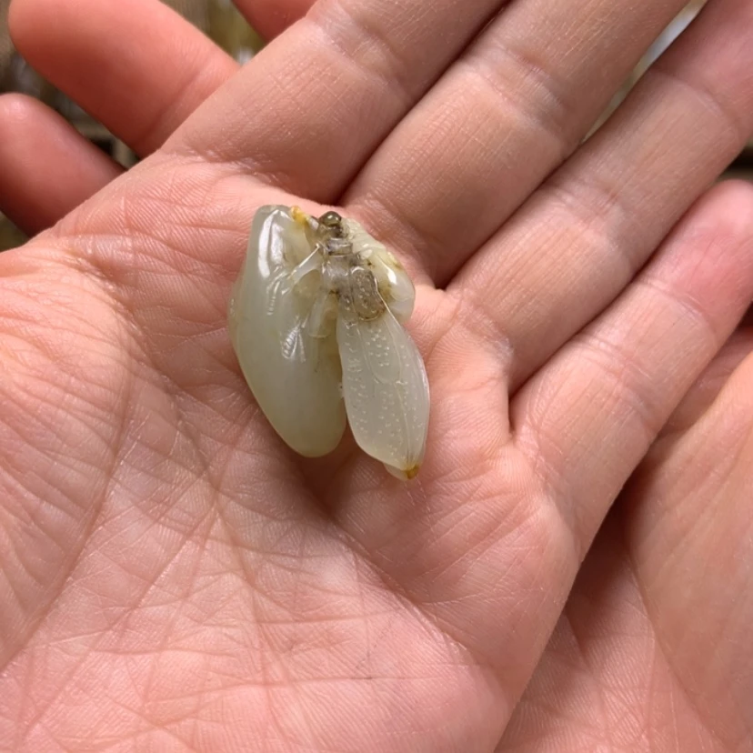 【闪购商品】和田玉颈饰未镶嵌