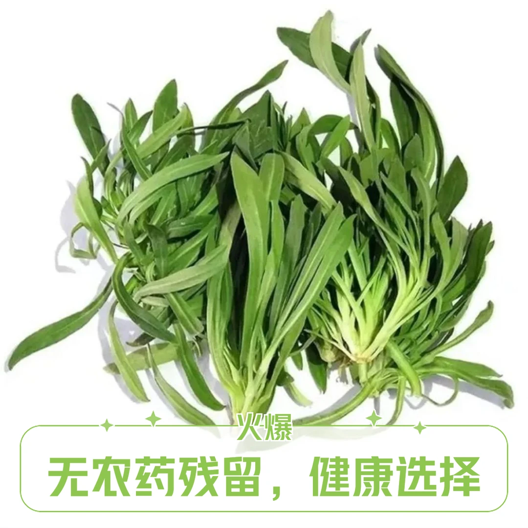 （春节专享）河南新鲜面条菜羊蹄棵蒸菜时令蔬菜特产美味