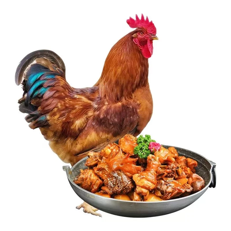 【散养土公鸡】农村散养大公鸡溜达土公鸡农村顺丰包邮Y