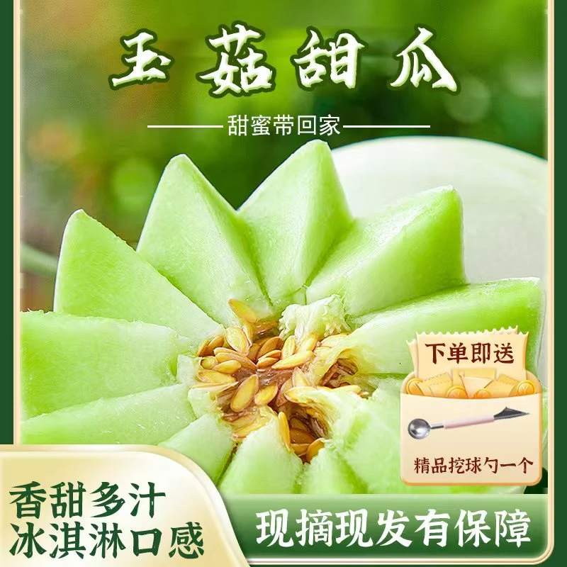 【桐丫头水果】寿光冰淇淋玉菇甜瓜头茬新鲜采摘应季香甜坏果包赔