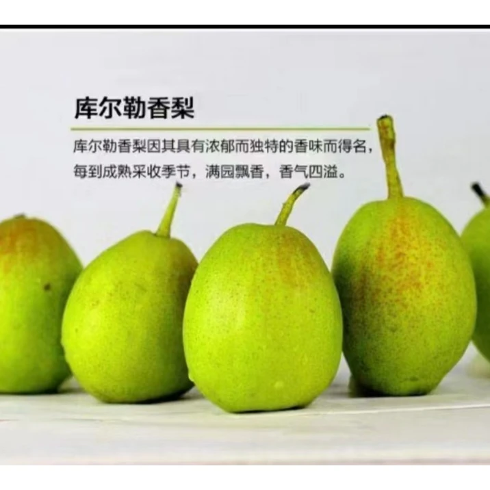 新疆库尔勒香梨精品一级6斤装
