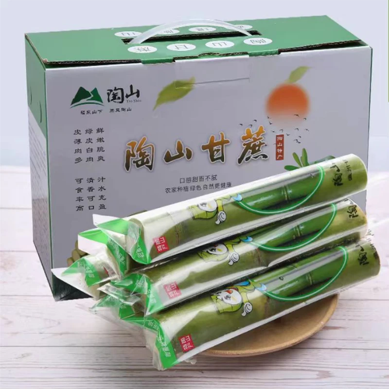 陶山甘蔗顺丰温州特产陶山甘蔗新鲜青皮果蔗脆甜多汁水果礼盒装脆