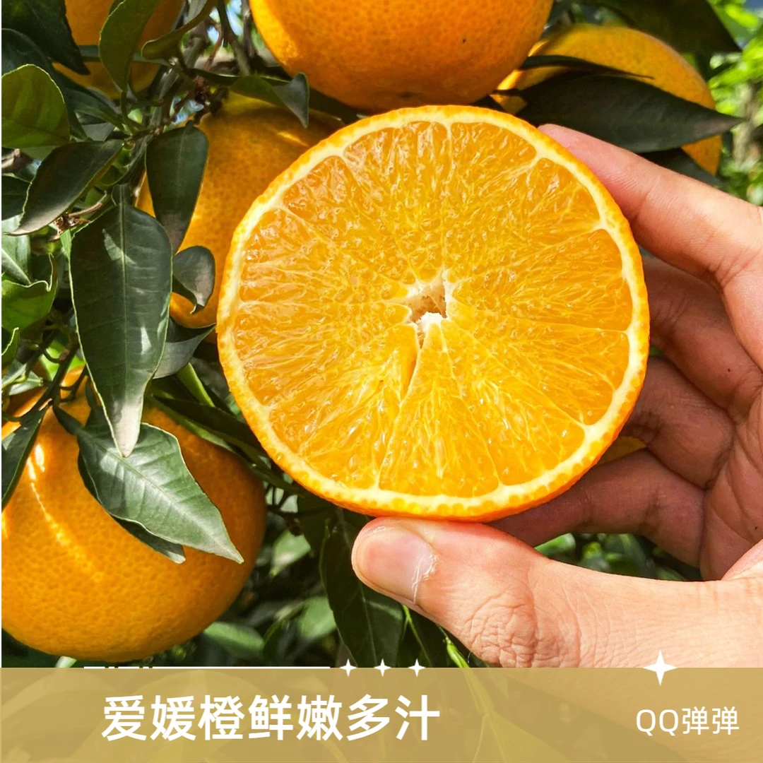四川眉山爱媛果38号冻橙汁水充足酸甜可口现摘现发应季水果