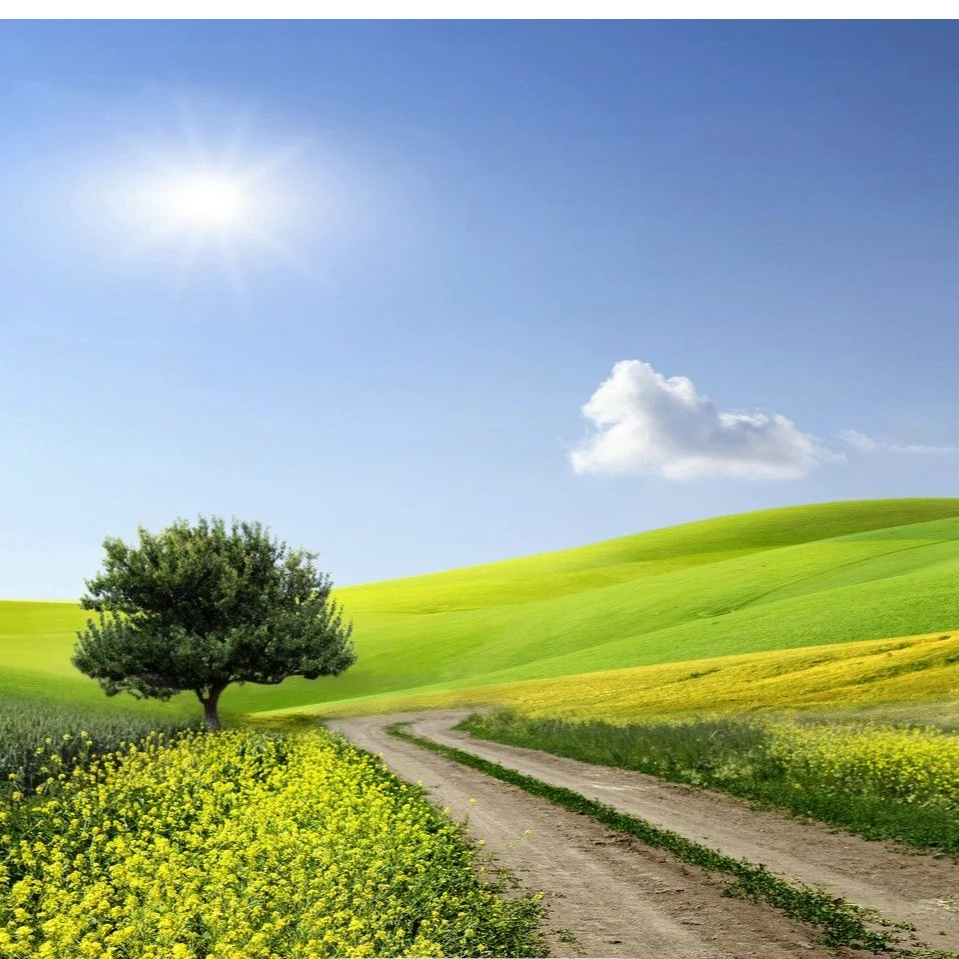 芹 新中式风连衣裙   824075   黄色L