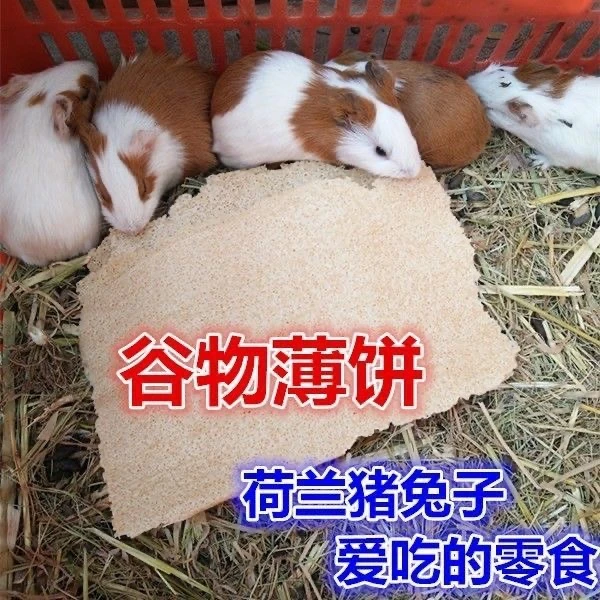 兔子荷兰猪爱吃零食饼干香杂粮煎饼宠物零食小宠食物天然绿色健康
