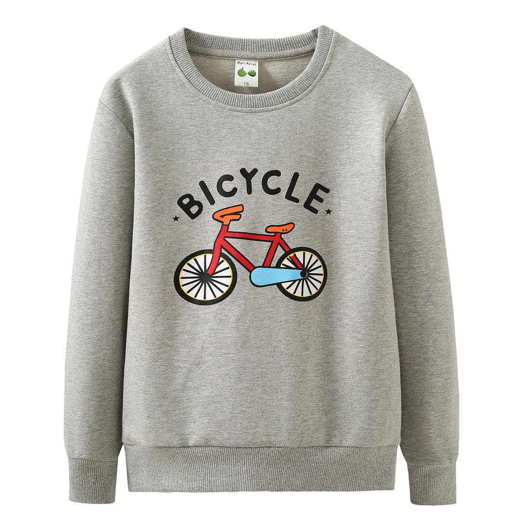 童装男童卫衣儿童衣服2024新款春装长袖上衣男大童衣服秋季圆领