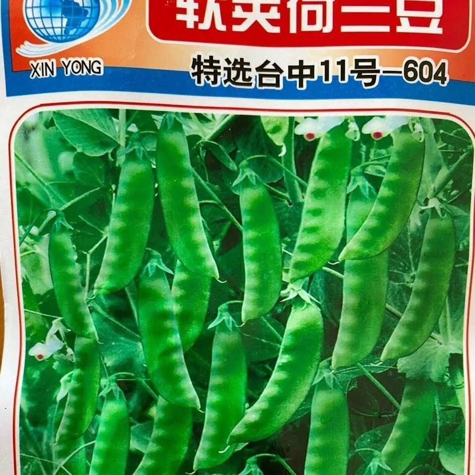 软荚荷兰豆种子春夏秋四季播种大荚菜豆豌豆豆角种籽农家蔬菜种籽