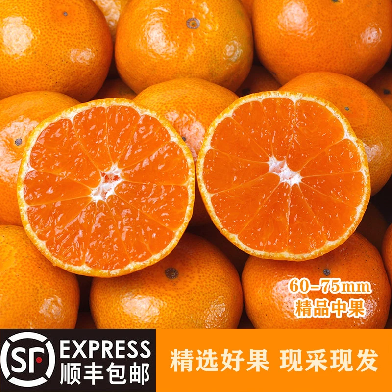 （实惠中大果）现摘涌泉蜜桔中果橘子宫川蜜桔新鲜当季整箱顺丰包邮