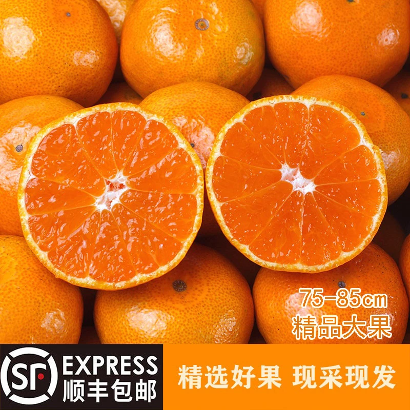 （划算大果）现摘涌泉蜜桔大果橘子宫川蜜桔新鲜当季整箱顺丰包邮
