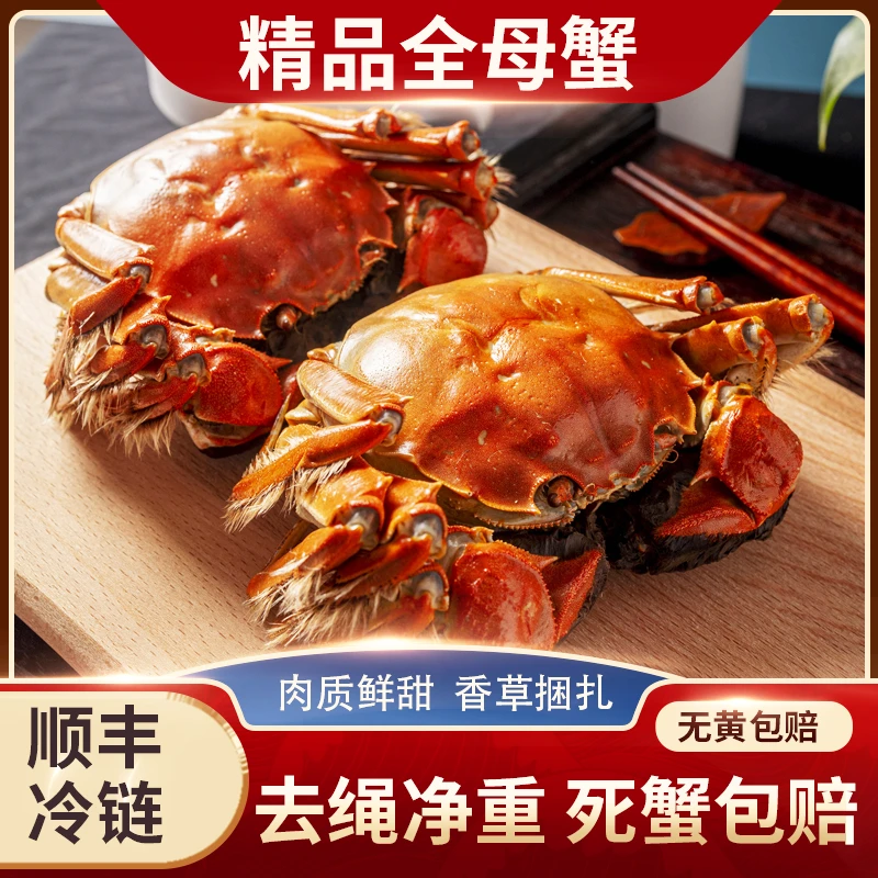 【3.5两全母蟹】大闸蟹10-6只鲜活固城湖螃蟹顺丰包邮