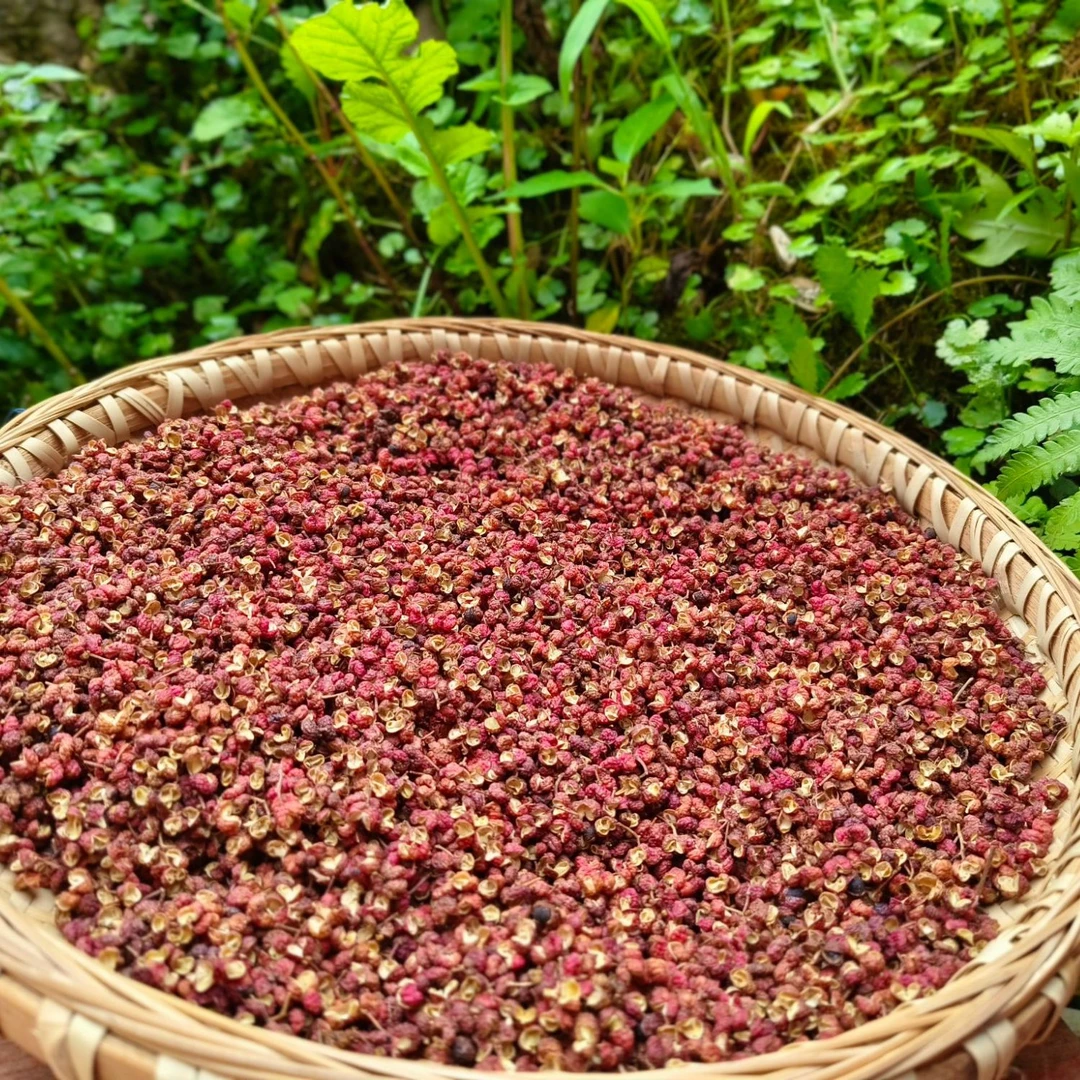 【陈孟助农】城口大巴山干红花椒