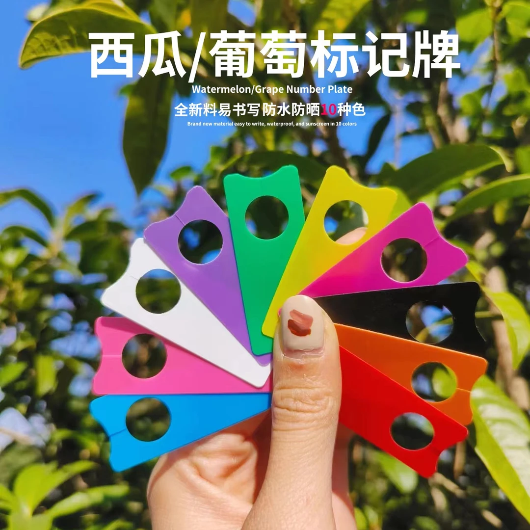 葡萄标记牌授粉记号卡西瓜苗木环扣花卉标签标识卡牌水果挂吊牌子