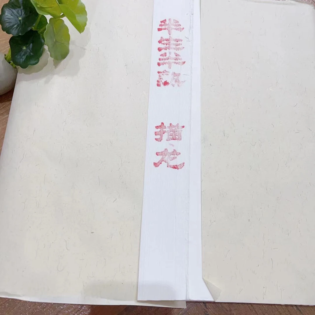 四尺对开白色描龙宣纸书法作品宣纸加厚宣纸生宣