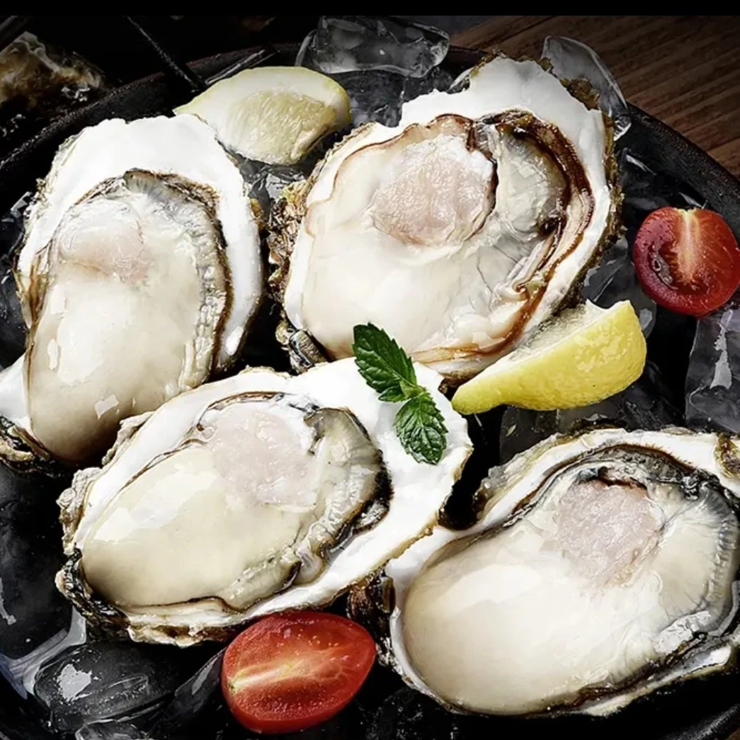 连云港发货  三倍体生蚝 （4-5两/只）  5斤～10斤/份新鲜牡蛎