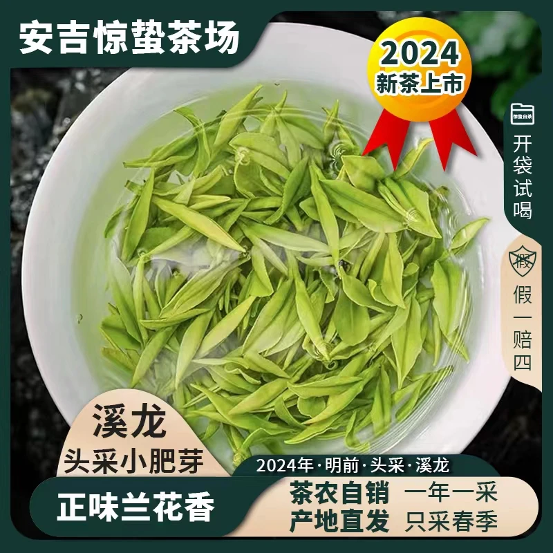 【2024金字招牌A33】安吉白茶溪龙高山茶兰花香安吉原产地送礼团购
