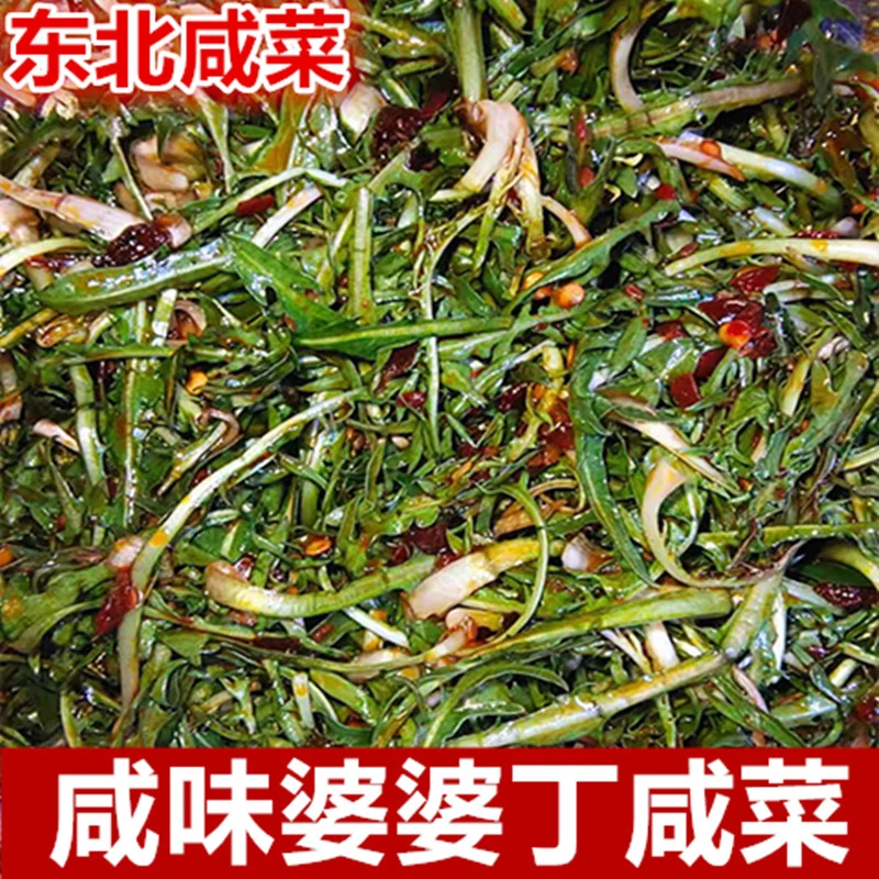 东北婆婆丁咸菜蒲公英咸菜 下饭菜微辣美味自制咸菜咸味野菜包邮