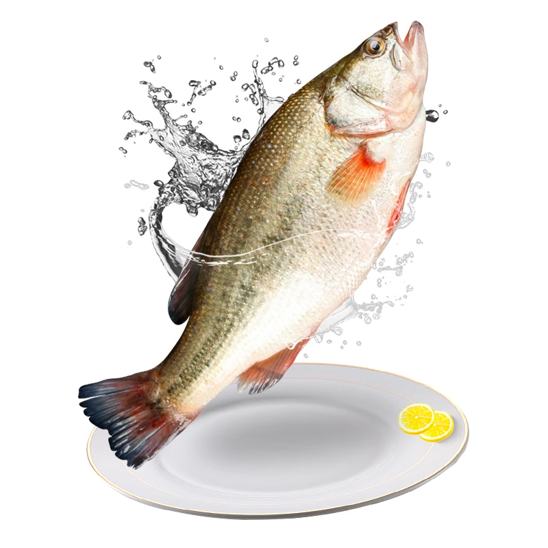三去开背淡水鲈鱼250克*8条
