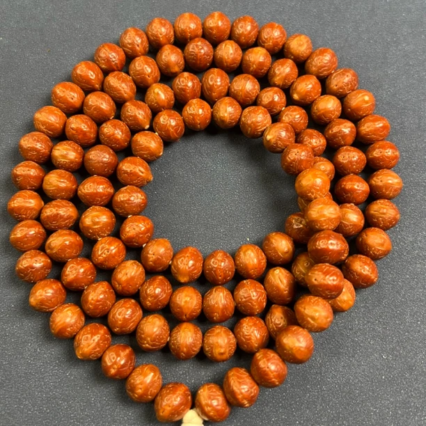 尼泊尔凤眼菩提2019年k1树王尺寸1.0