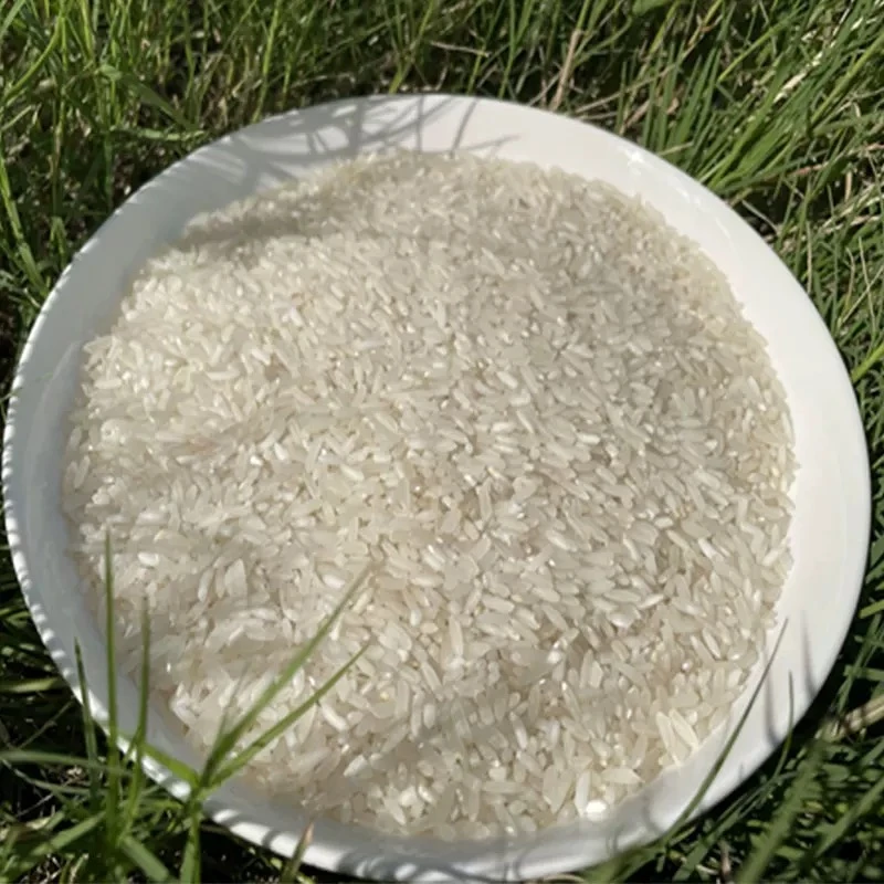 新米长粒香梯田大米 农村新米 自家稻谷s