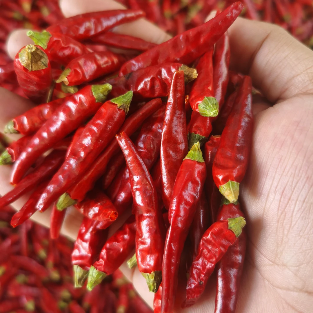 【干小米椒】农家自制小米椒山货土货