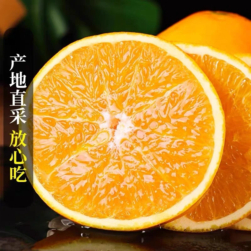 FJ正宗赣南脐橙推荐新鲜应急水果脆嫩多汁产地直发江西赣州